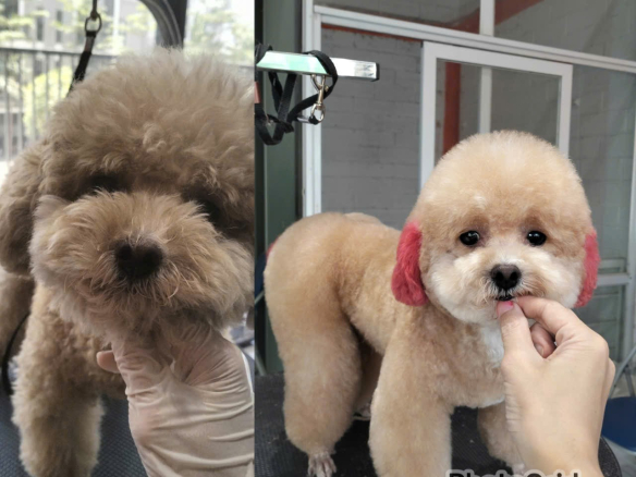 bé iu đi độ mông